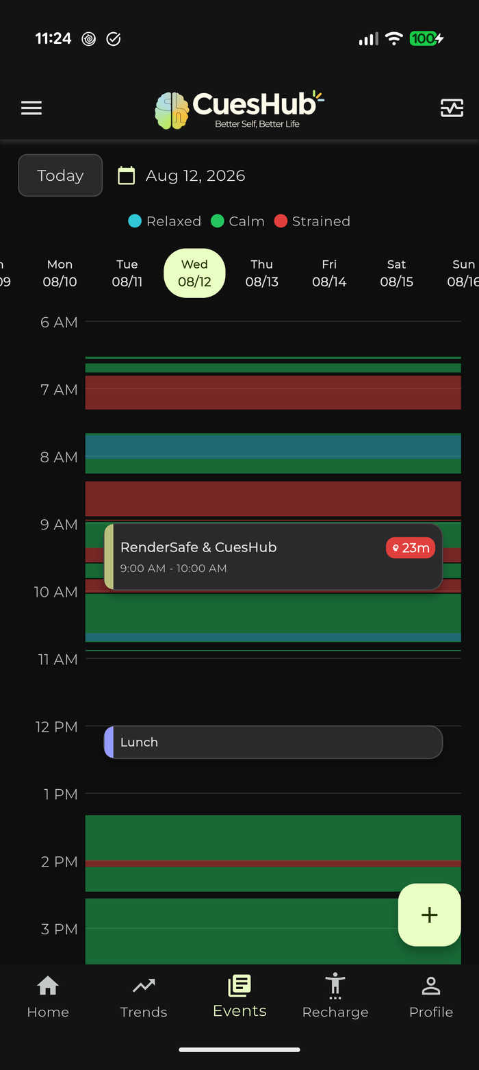 A day of calendar events with the strain bands underneath them