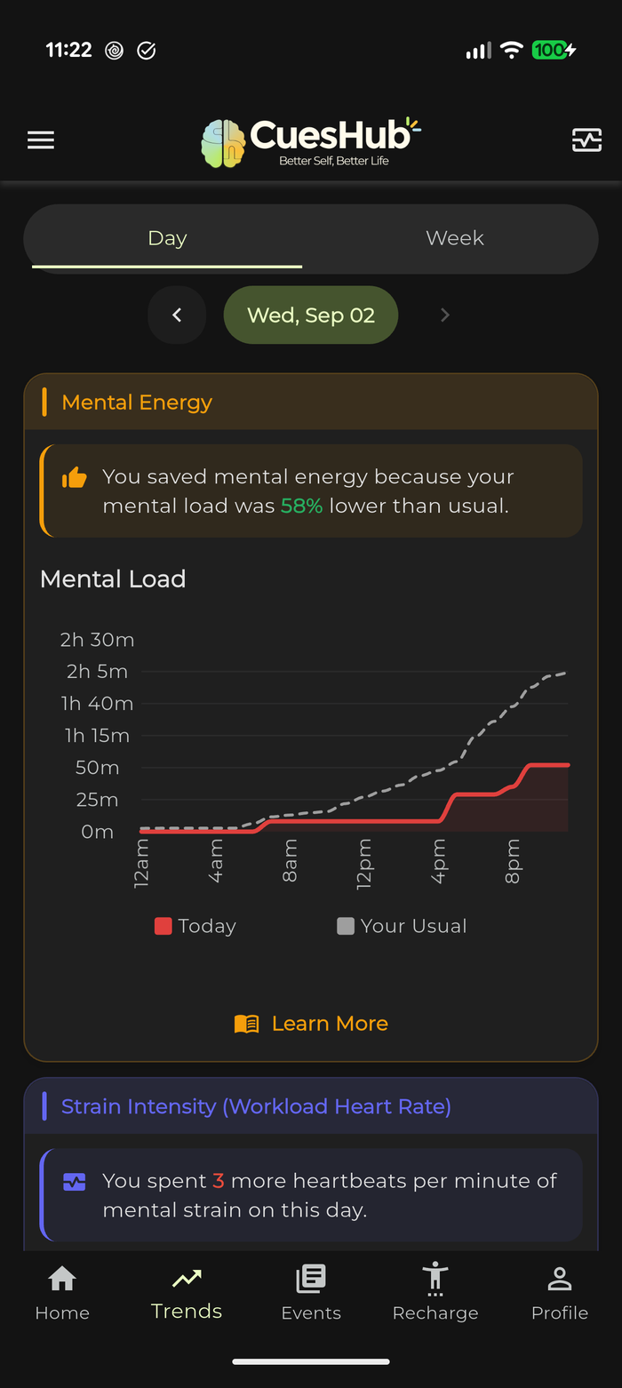 Mental load for the day drawn against the usual curve